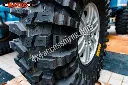 maxxis2.webp