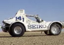 Buggy SUNHILL 2 Année 1981 - Prête à courir